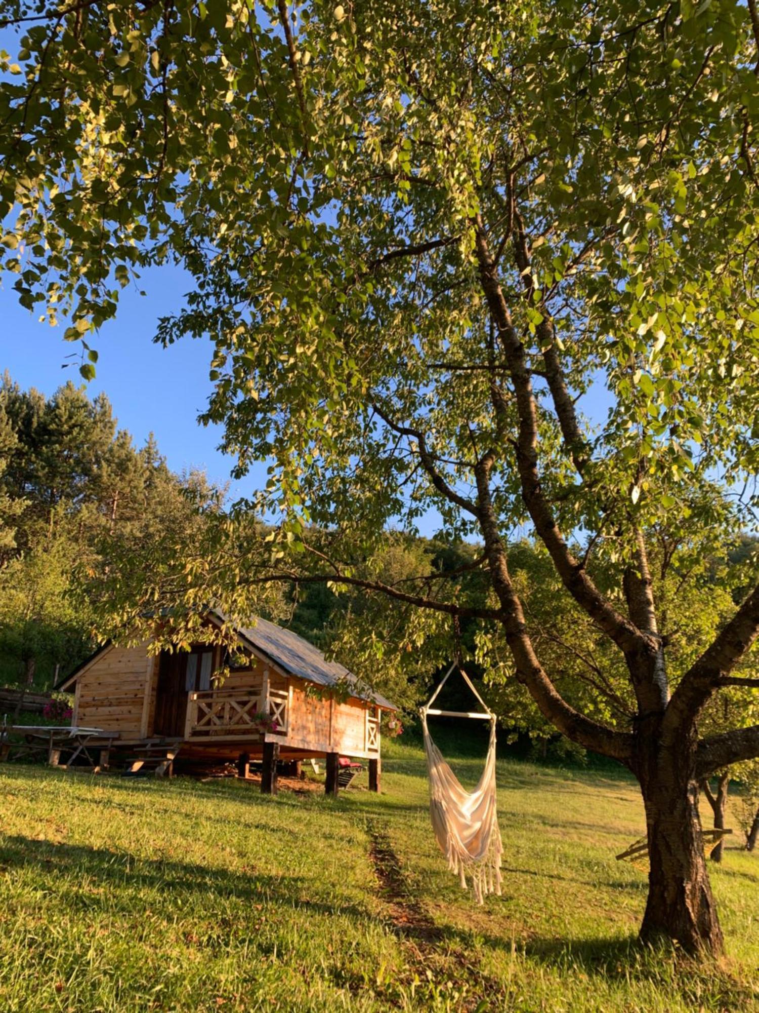 Apartamento Oaza Mira, Kokin Brod Nova Varoš Exterior foto